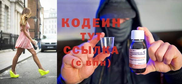сатива Галич