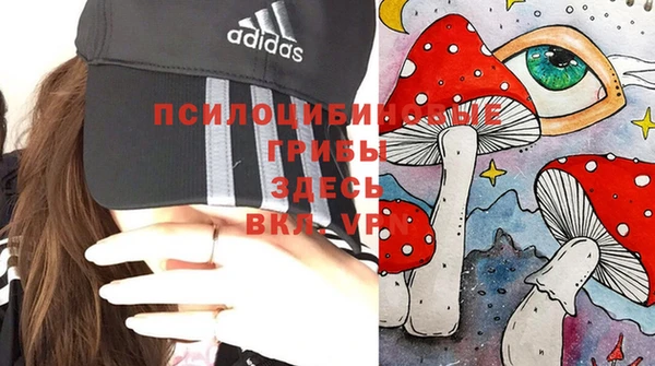 стафф Ростов