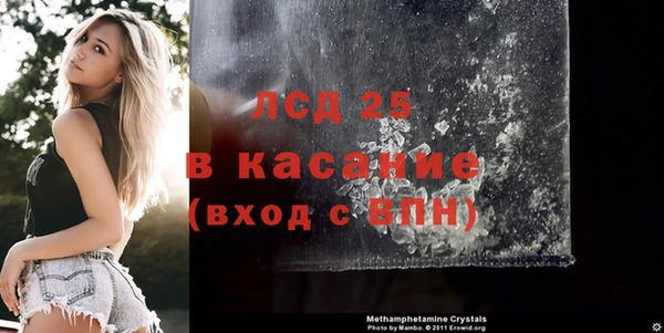 стафф Ростов