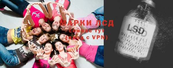 ПСИЛОЦИБИНОВЫЕ ГРИБЫ Россошь