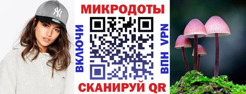 Псилоцибиновые грибы Psilocybe  Вичуга 