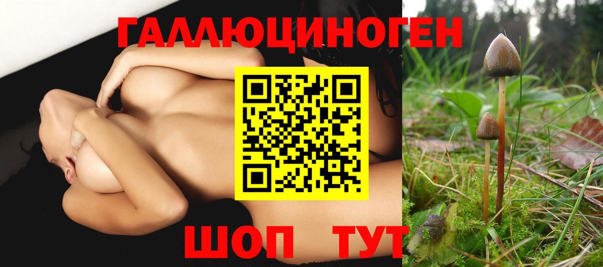 Псилоцибиновые грибы мухоморы Вичуга