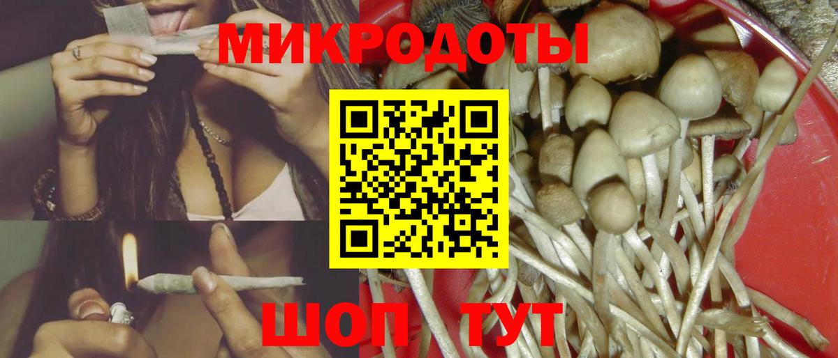 цены наркотик  Вход с VPN  Вичуга  Псилоцибиновые грибы GOLDEN TEACHER 